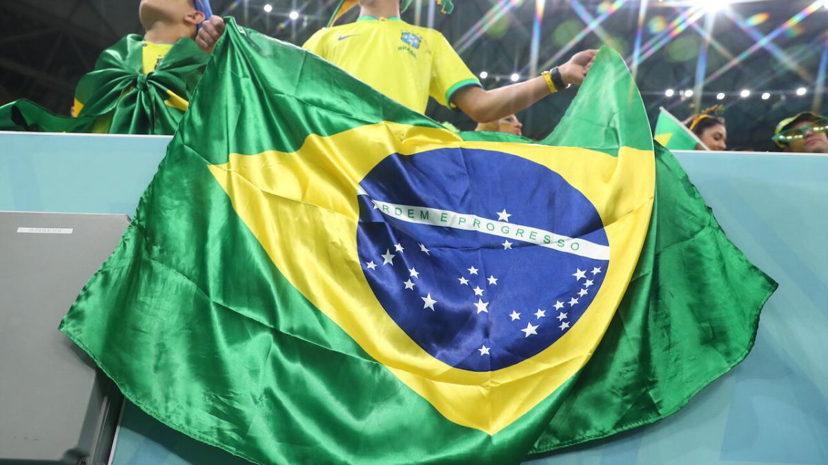 Brazil football fan with flag